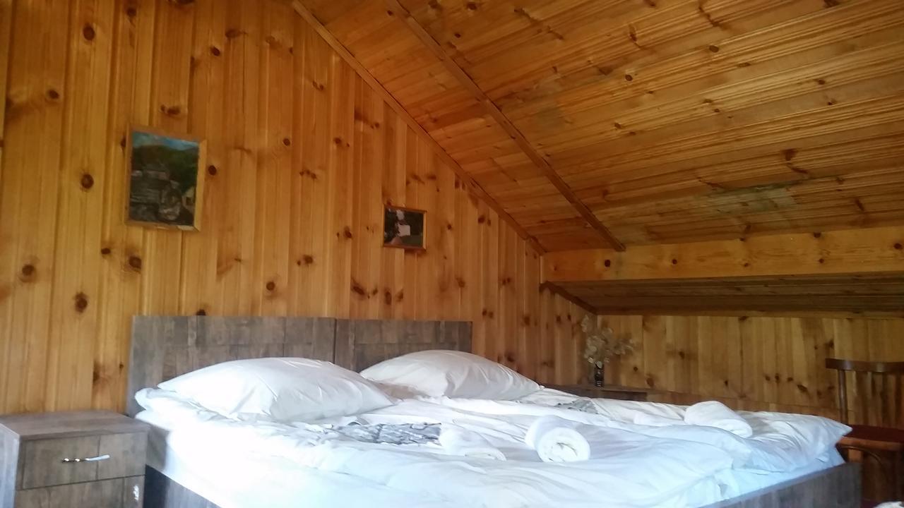 Lagami House Hotell Mestia Rom bilde
