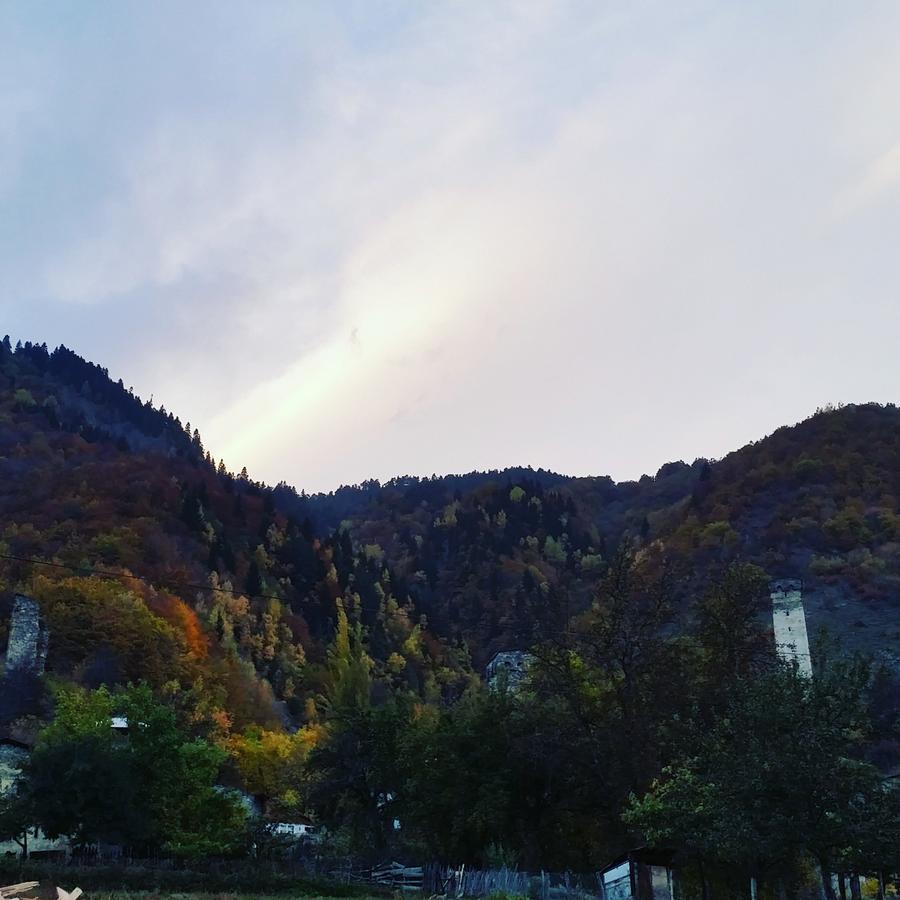 Lagami House Hotell Mestia Eksteriør bilde